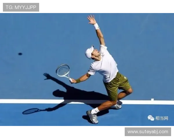 从零起步掌握网球技巧全方位指南助你成为网球高手