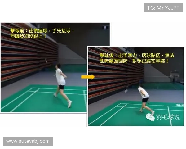 武汉羽毛球队区域防守策略解析与战术应用探讨