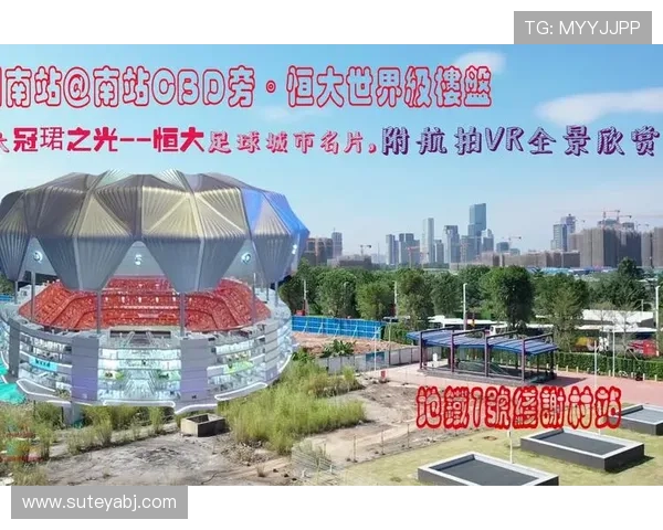 欧洲足球明星贴纸大全全景展示与收藏指南 欧洲足球明星贴纸大全全景展示与收藏指南